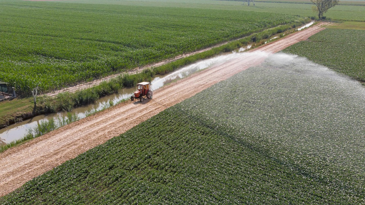 wheat field aerial